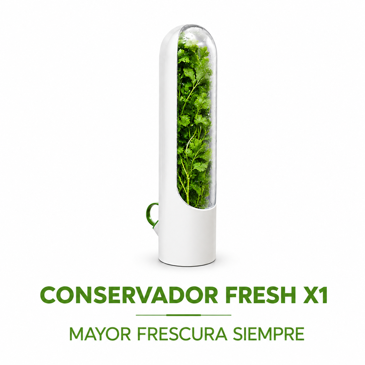 Conservador Fresh x1