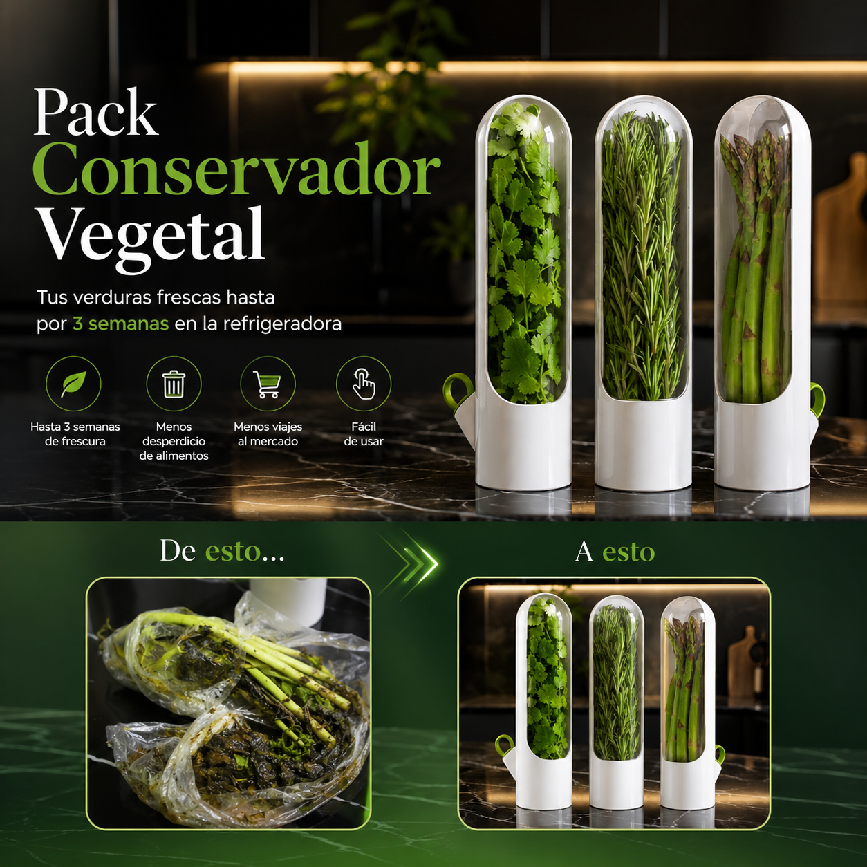 Conservador